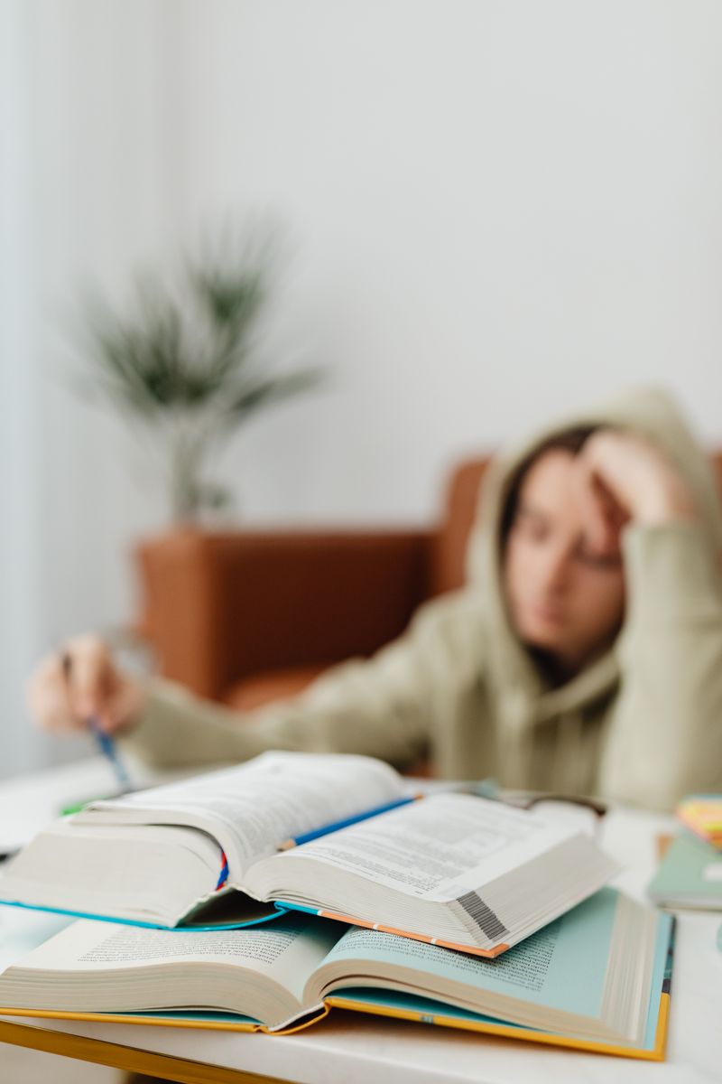 A learner at a desk with textbooks, a notebook and a laptop open